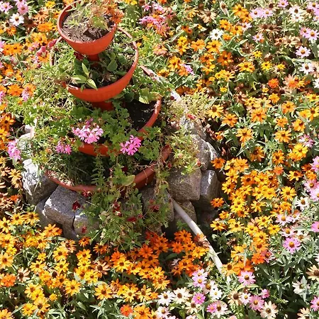 It Shipka